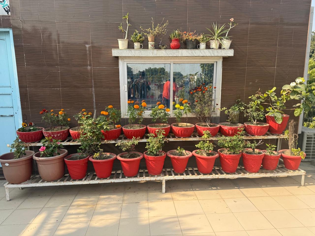 Girls Hostel Near Coaching Institutes in Lucknow with Affordable Rent