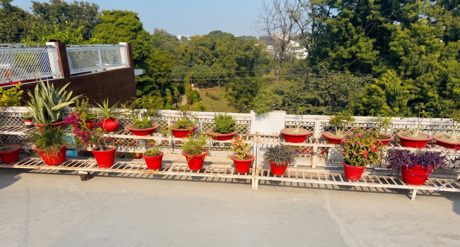 Girls Pg near allen lucknow